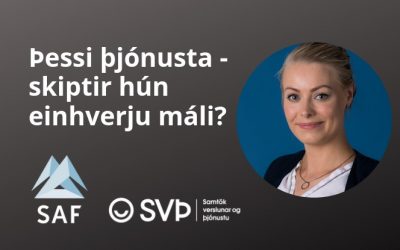 Þessi þjónusta – skiptir hún einhverju máli?