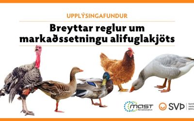 Breyttar reglur um markaðssetningu alifuglakjöts