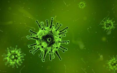 Upplýsingar og leiðbeiningar vegna kórónaveirunnar