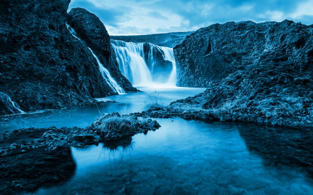 Umhverfisdagur atvinnulífsins – Hvaða fyrirtæki fá verðlaunin í ár?