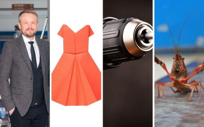 Kjólar, borvél, dálítill biti af trjónukrabba og verkefni hins opinbera